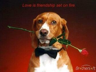 A Valentine Wish Screensaver