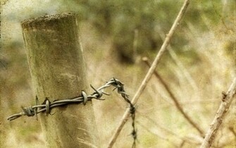 Barb Wire Computer Wallpaper Desktop Background Id