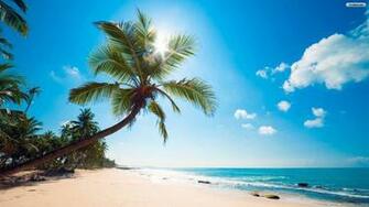Sunny Beach Wallpaper