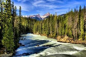 Wallpaper Horse River British Columbia Canada Desktop