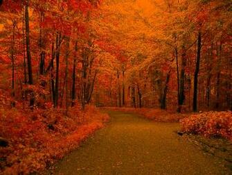 Autumn Road Background Background Wallpaper Image