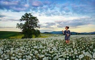 Wallpaper Field Girl Dandelions Image For Desktop Section