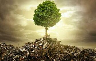 Wallpaper The Wreckage Metal Creative Garbage Tree Image For