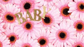 Baby Pink Wallpaper