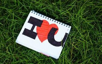 Love You Wallpaper Photography
