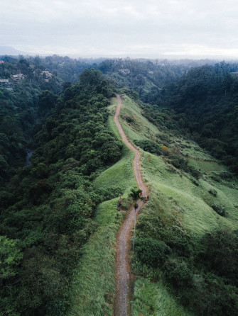Nature Hill Wallpaper