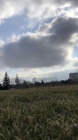 Blake Macmillan On Some Social Distancing Long Toss