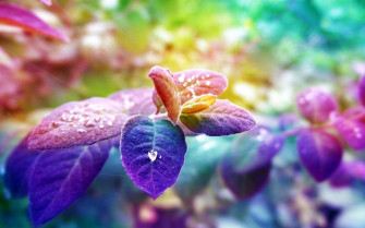 HD Spring Wallpaper 4k For Desktop We