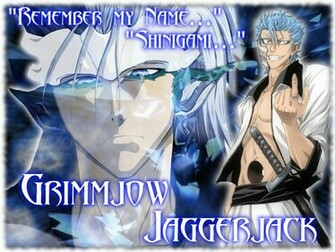Bleach Anime Wallpaper Grimmjow Wallpaperv