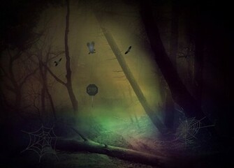 Spooky Forest Wallpaper