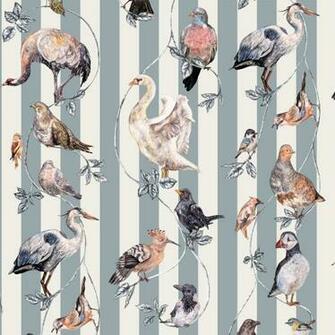 All Brands House Of Hackney Flights Fancy Grey