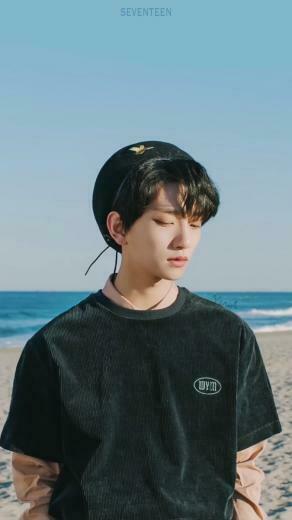 Seventeen Home Wallpaper Joshua Seungkwan Jun Vania