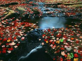Desktop Earth Wallpaper Live Dowload