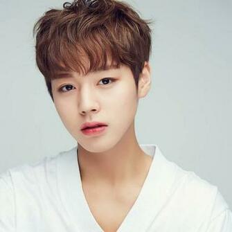 Park Ji Hoon Profile Wanna One Kpopscene
