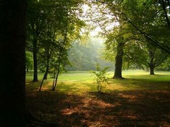 Wallpaper Nature Jpg