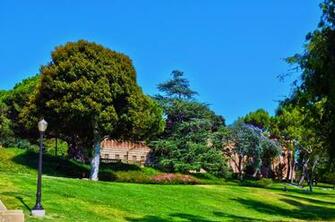 Displaying Image For Ucla Campus Wallpaper