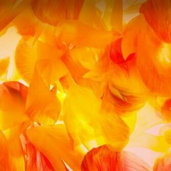 Samsung Galaxy M10 Stock Wallpaper HD