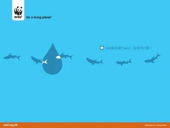 Wwf Hong Kong Wallpaper