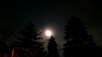 Full Moon Wallpaper