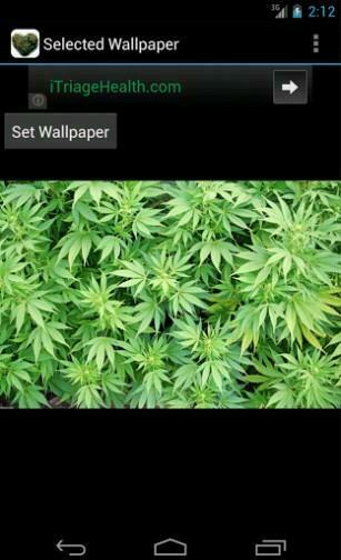 App With The Best Wallpaper And Desktop Background You