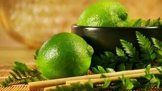 Jewish Festival Of Sukkot HD Wallpaper Computer Desktop