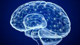 Stem Cells Shown Safe Beneficial For Chronic Stroke Patients