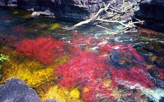 Ca O Cristales HD Wallpaper Background Image Id