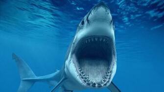 Jaws Wallpaper HD