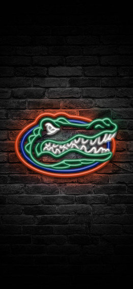 Florida Gators Background Wallpaper