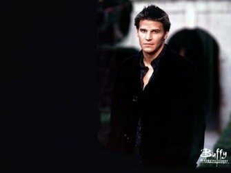 David Wallpaper Boreanaz