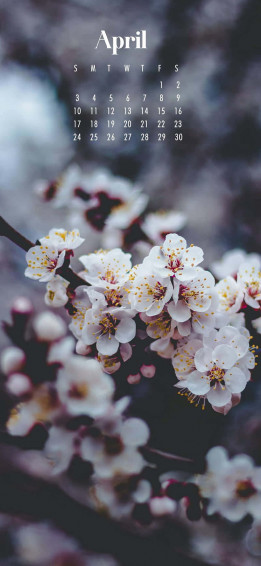 Cute April Wallpaper