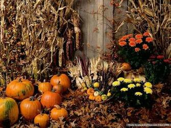 Fall Pumpkins Pictures Pumpkin Wallpaper Arrangement