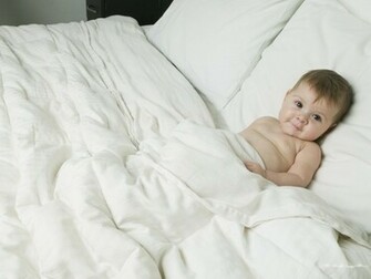 Good Morning Wallpaper Pictures Pics Photos Image Desktop