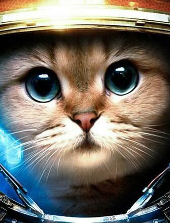 Space Cat iPhone Wallpaper