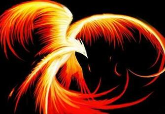 Wallpaper Phoenix Jpg