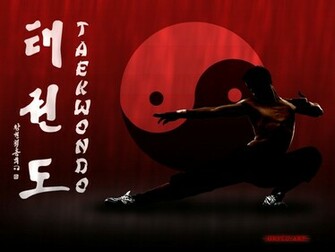 Martial Arts Taekwondo By Grylu3