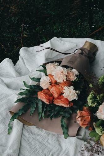Wallpaper Online Flowers Carnations Picserio