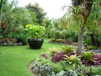 Tropical Gardens Image Photography Royalty