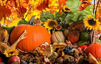 Fall Harvest HD Widescreen Wallpaper