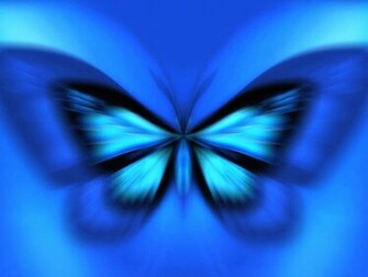 Tag Blue Butterfly Art Wallpaper Background Paos Image And
