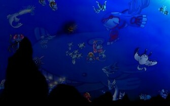 Water Pokemon Wallpaper By Bleedingneko