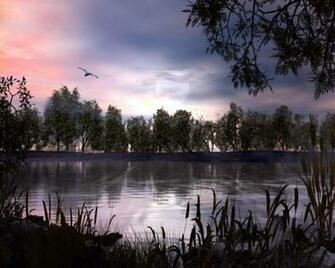 Swamp Background Wallpaper For Desktop