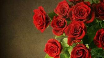 Roses Wallpaper And Theme For Windows All