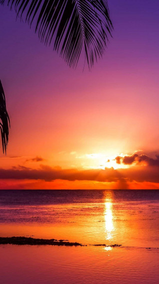 Sunset iPhone Wallpaper Background