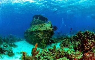 Ocean Floor Wallpaper