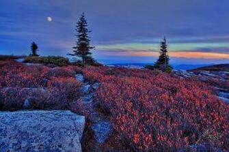 West Virgina Purple Mountain Sunset Lovely Scenery Wallpaper
