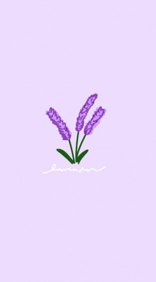 Lavender Wallpaper Purple Flowers Flower Aesthetic