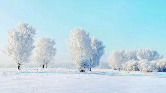 Ice HD Background Wallpaper