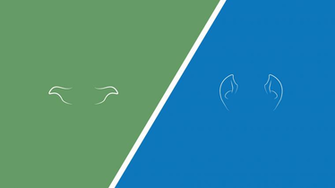 Minimalist Star Wars Trek X