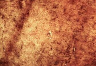 Grunge Texture Marble Granite Counter Surface Desktop Wallpaper